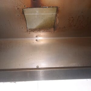 WhatsApp Image 2025-03-12 at 13.49.26