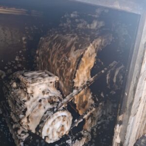 WhatsApp Image 2025-03-12 at 13.49.27 (1)